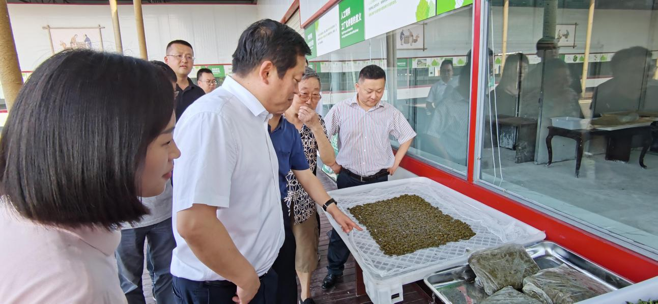 省尊龙凯时集团党委副书记、董事陈日赴嘉陵区调研茶桑产业发展情况